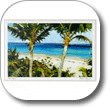 Paintings & Prints